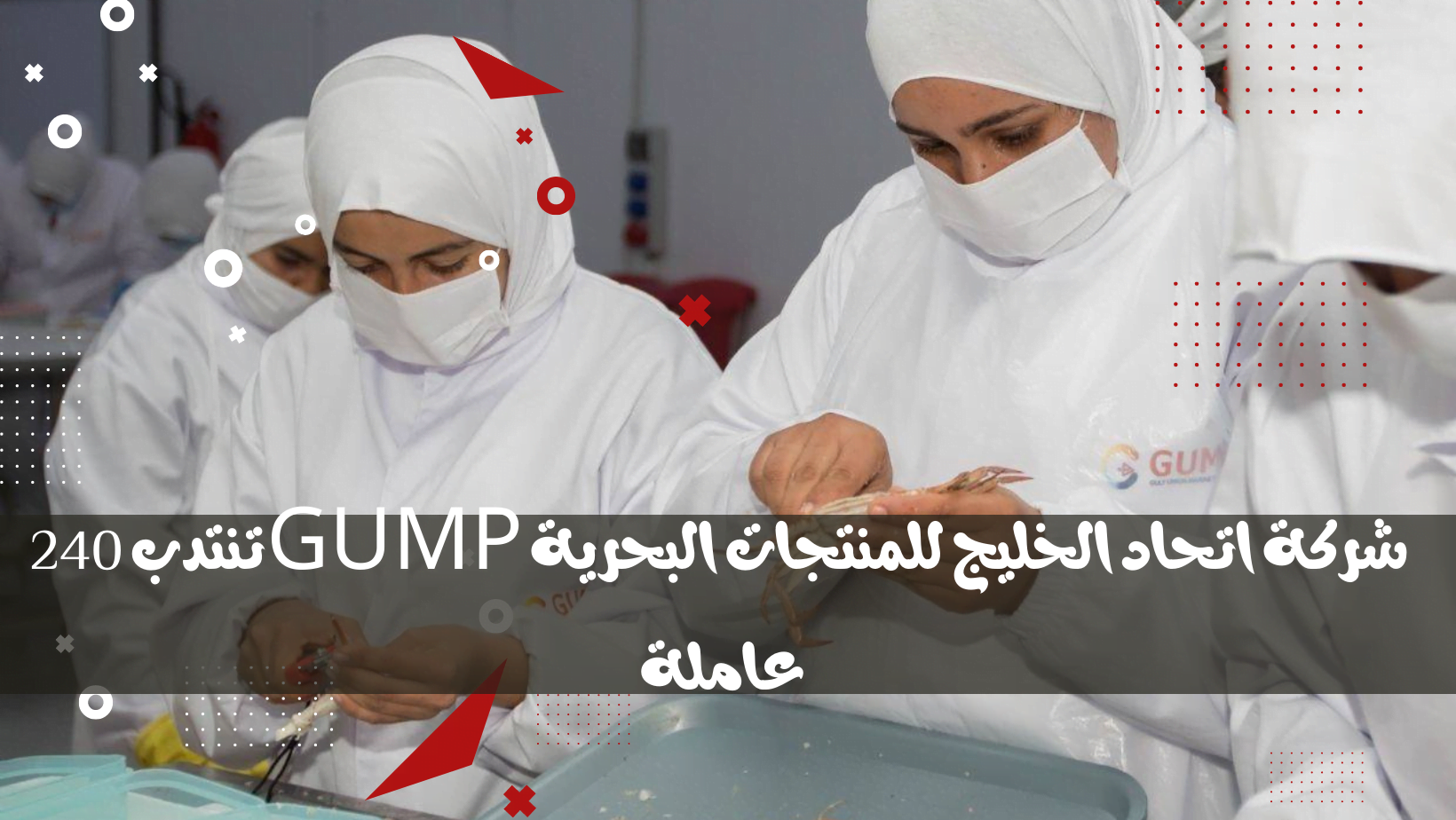شركة اتحاد الخليج للمنتجات البحرية GUMP تنتدب 240 عاملة