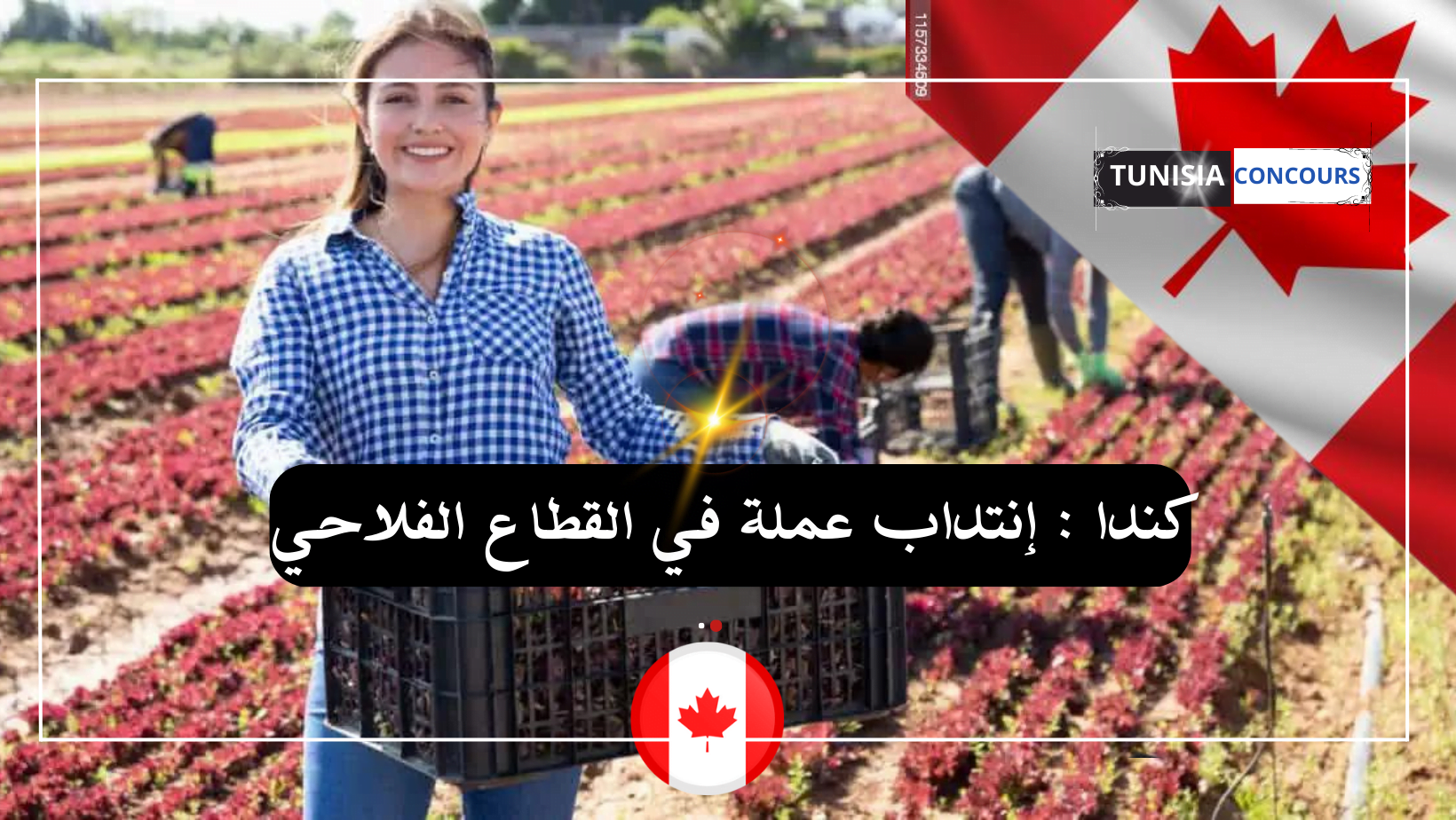 Canada :  recrutement des ouvriers agricoles